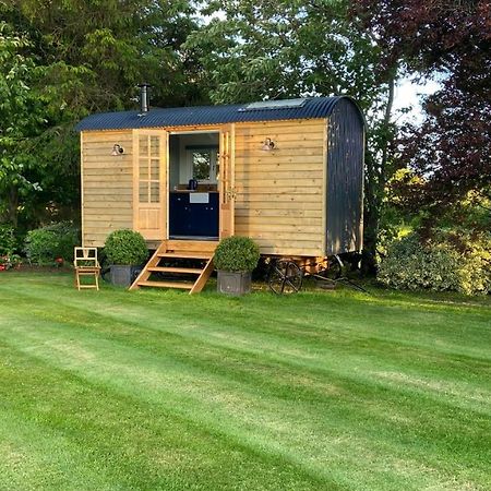 Bannfield Shepherds Hut 밸리머니 외부 사진